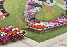 The Sun Patiens concept by Sakata was presented in a grand manner.